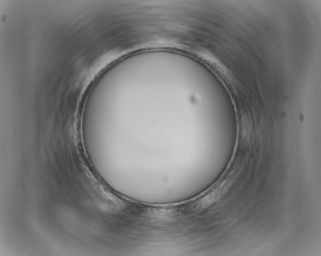 X0000068261278200604211035