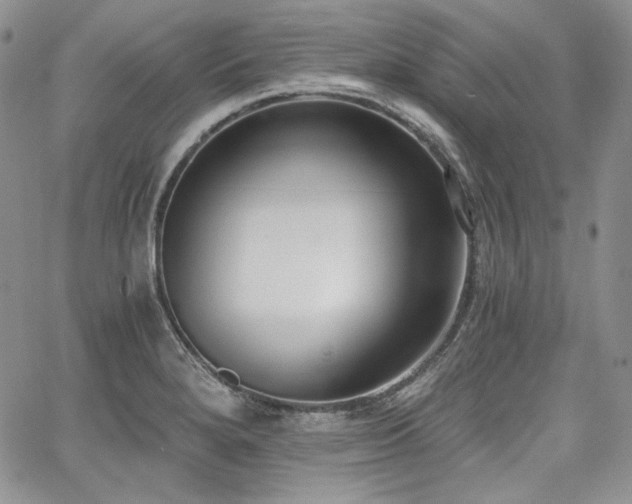 X0000068261280200604211035