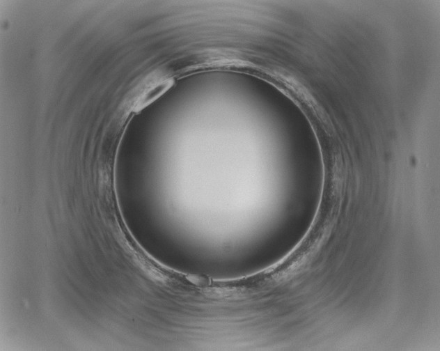 X0000068261281200604211035