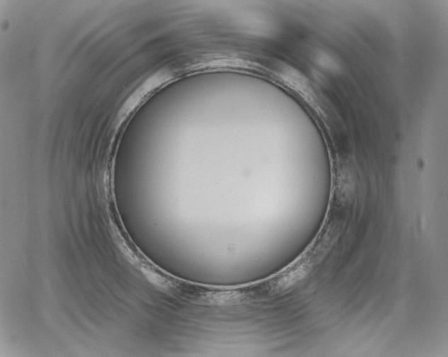 X0000068261282200604211035