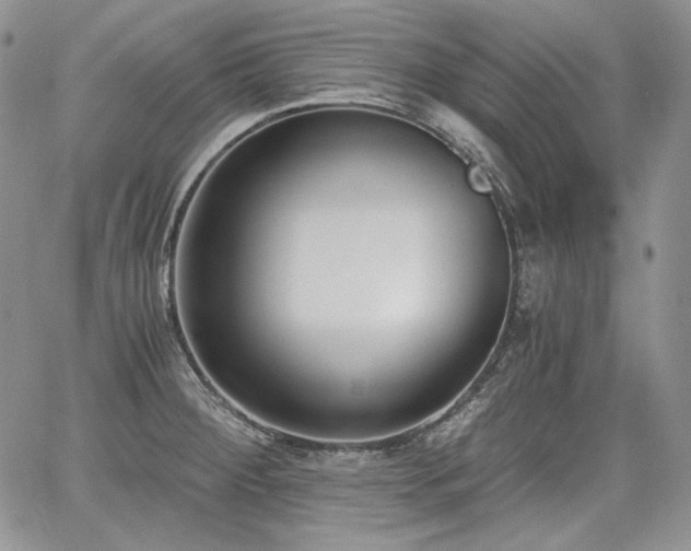 X0000068261284200604211035