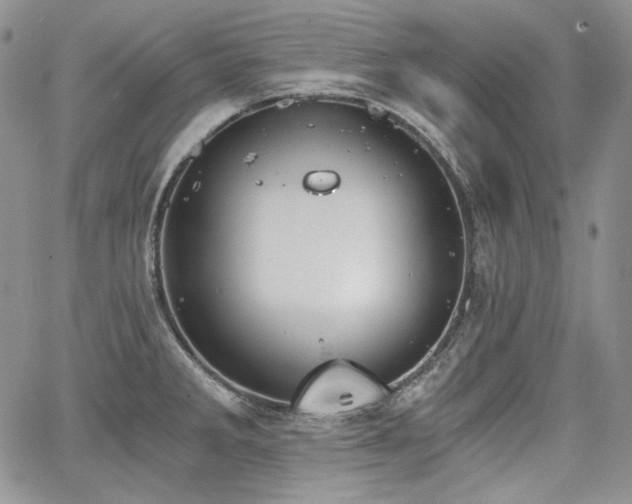 X0000068261285200604211035