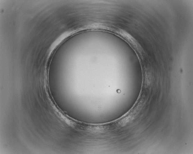 X0000068261286200604211035