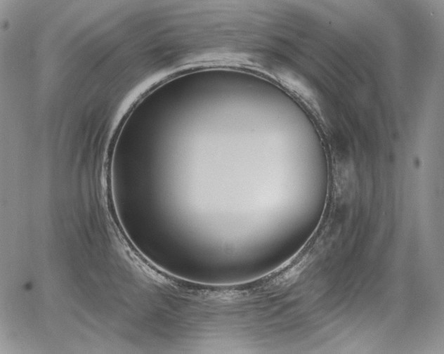 X0000068261288200604211035