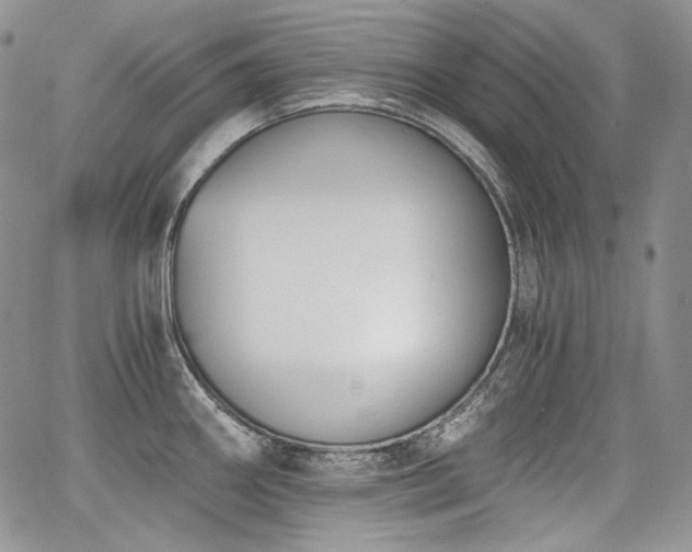 X0000068261290200604211035