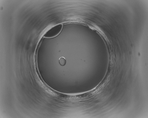 X0000068261291200604211035