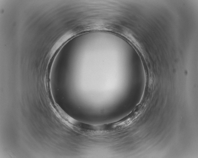 X0000068261293200604211035