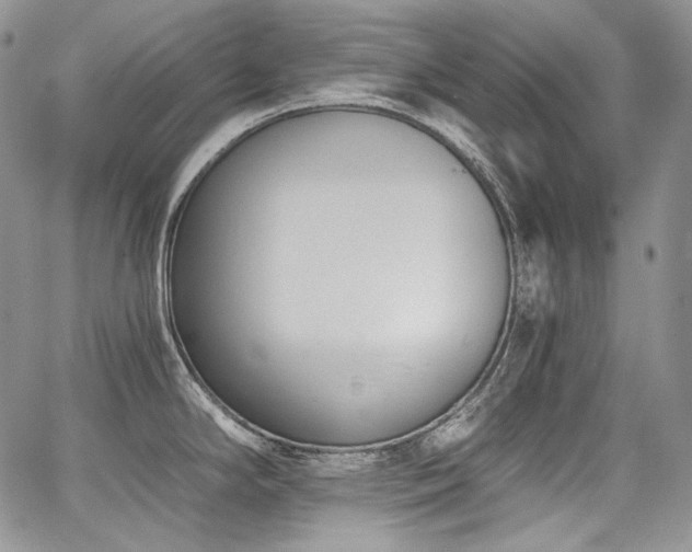 X0000068261294200604211035