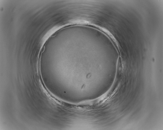 X0000068261295200604211035