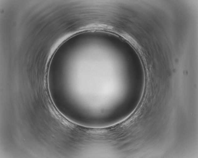 X0000068261296200604211035