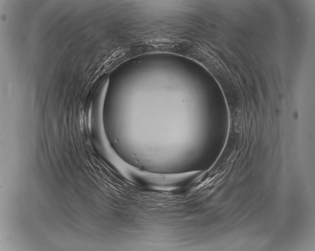 X0000068261298200604211034