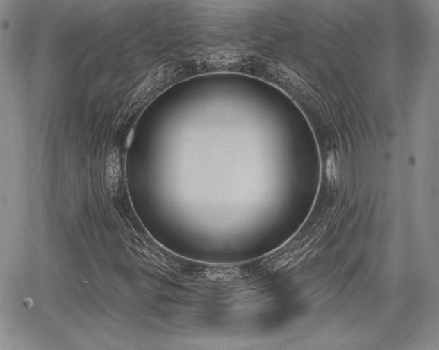 X0000068261299200604211034