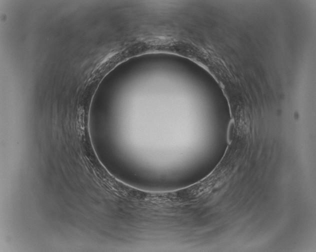 X0000068261301200604211034