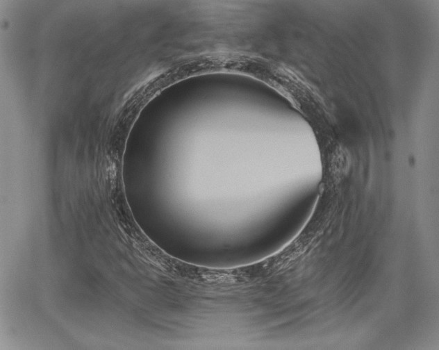 X0000068261302200604211034