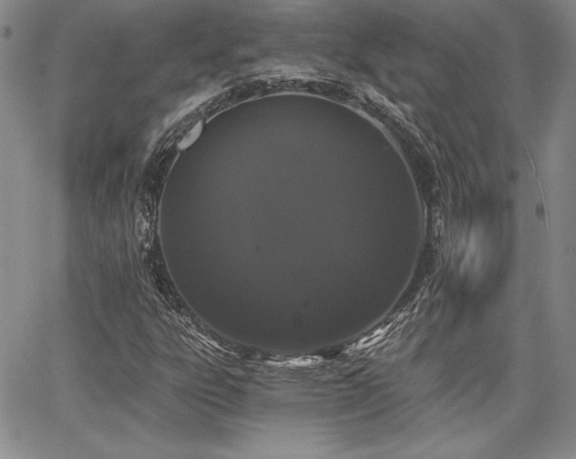 X0000068261303200604211034