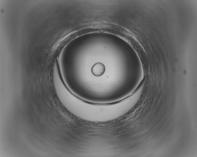 X0000068261304200604211034