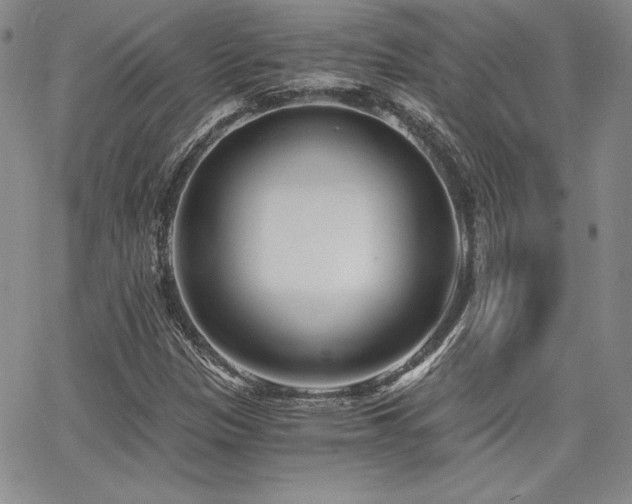 X0000068261305200604211034