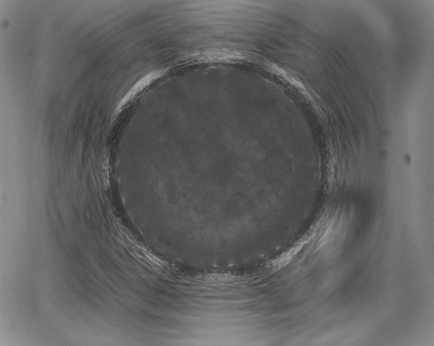 X0000068261306200604211034