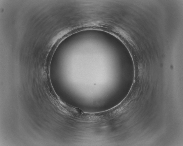 X0000068261308200604211034