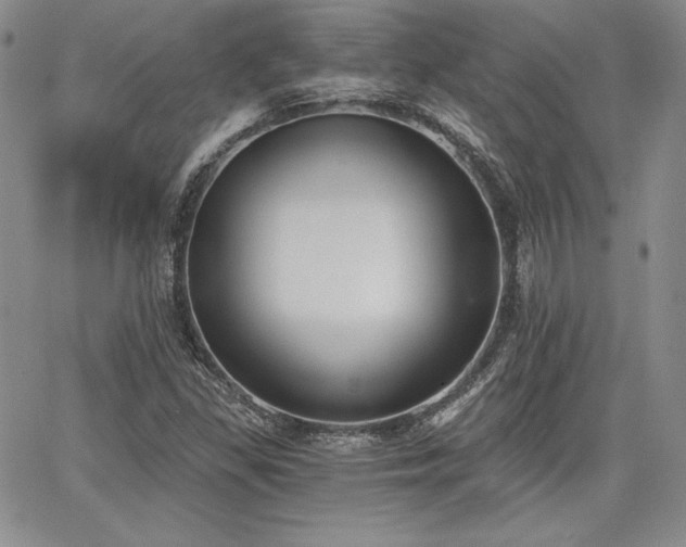 X0000068261309200604211034