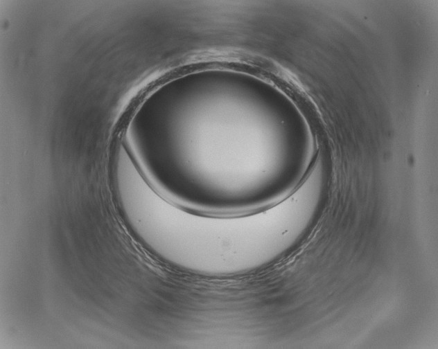 X0000068261312200604211034