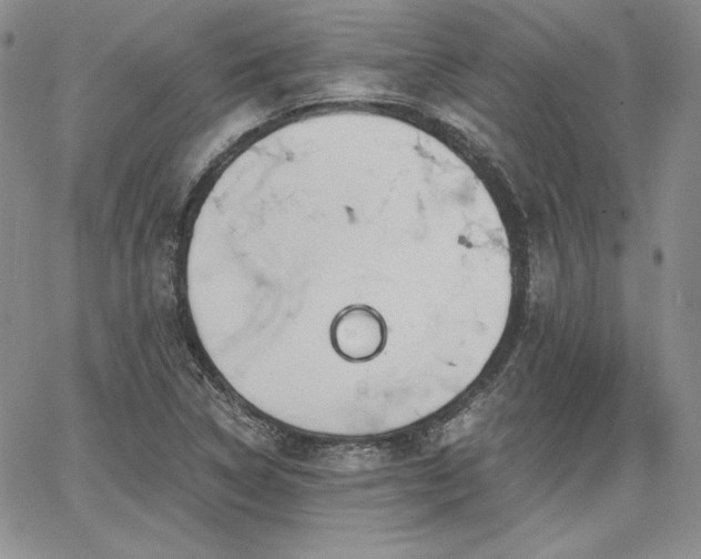 X0000068261314200604211034