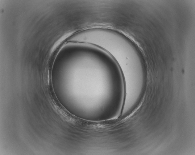 X0000068261317200604211034