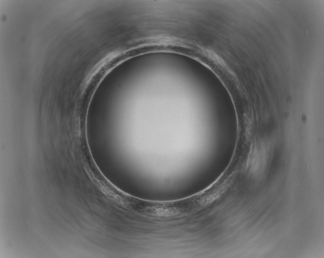 X0000068261318200604211034