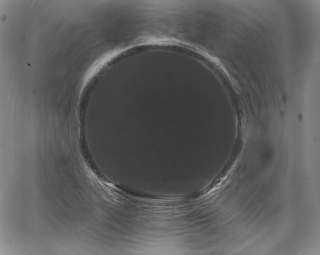 X0000068261319200604211034