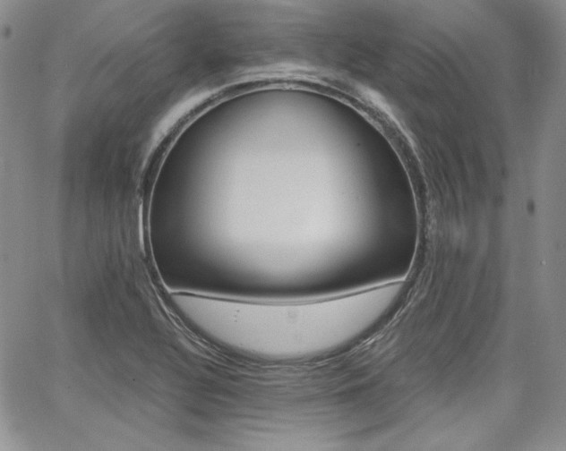 X0000068261320200604211034