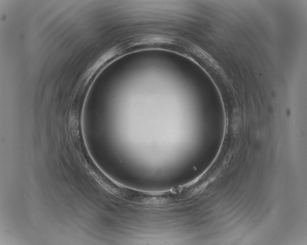 X0000068261321200604211034