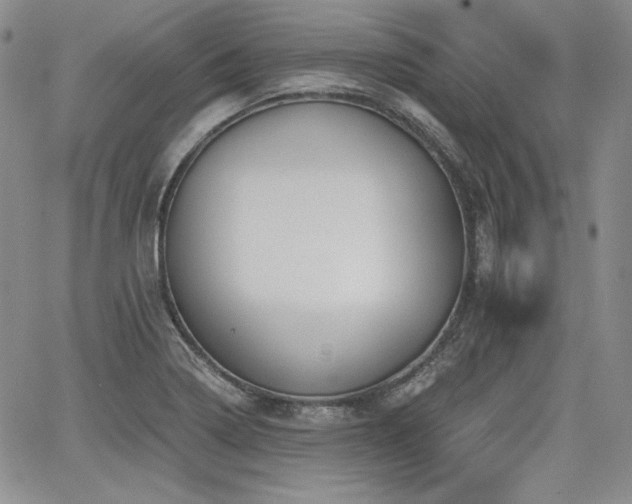 X0000068261322200604211034