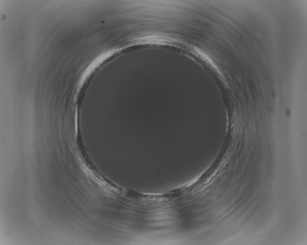 X0000068261323200604211034