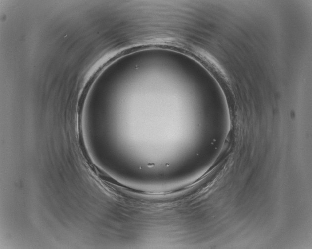 X0000068261324200604211034