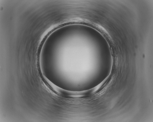 X0000068261326200604211034