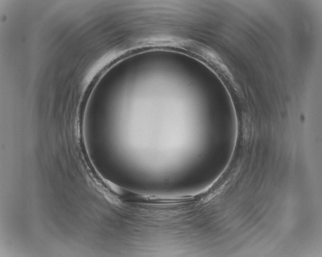 X0000068261328200604211034