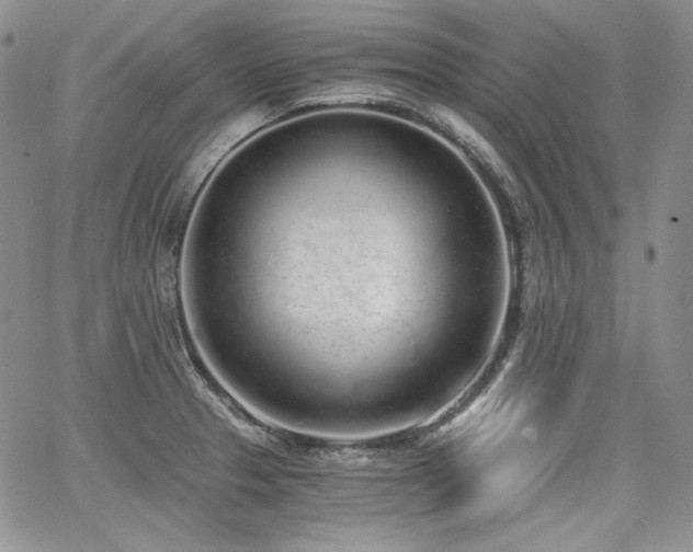 X0000068261329200604211034