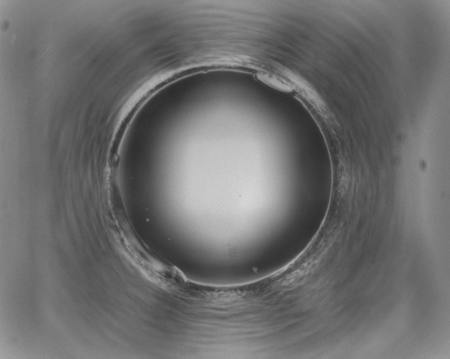 X0000068261332200604211035