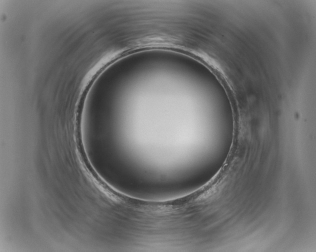 X0000068261333200604211035