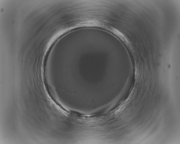 X0000068261334200604211035