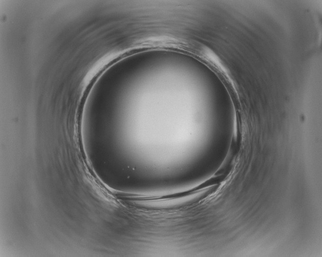 X0000068261336200604211035