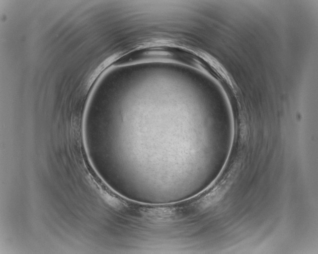 X0000068261337200604211035