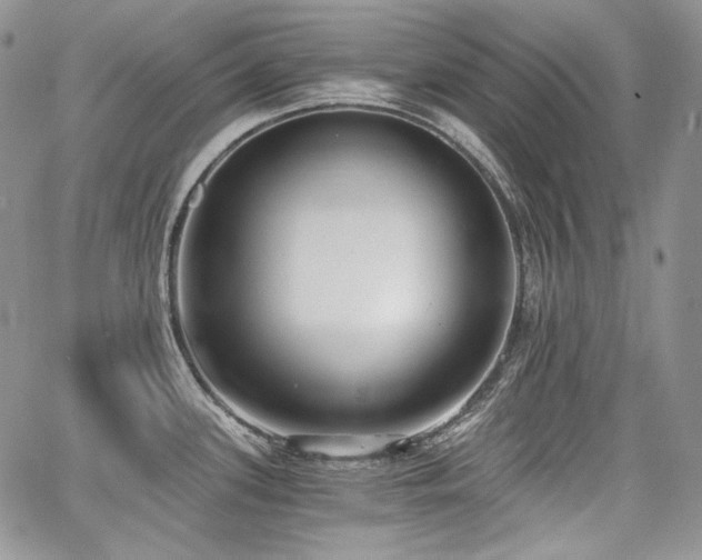 X0000068261339200604211035