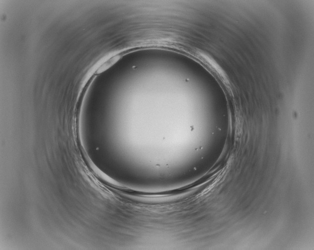 X0000068261340200604211035