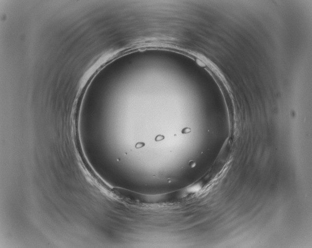 X0000068261341200604211035