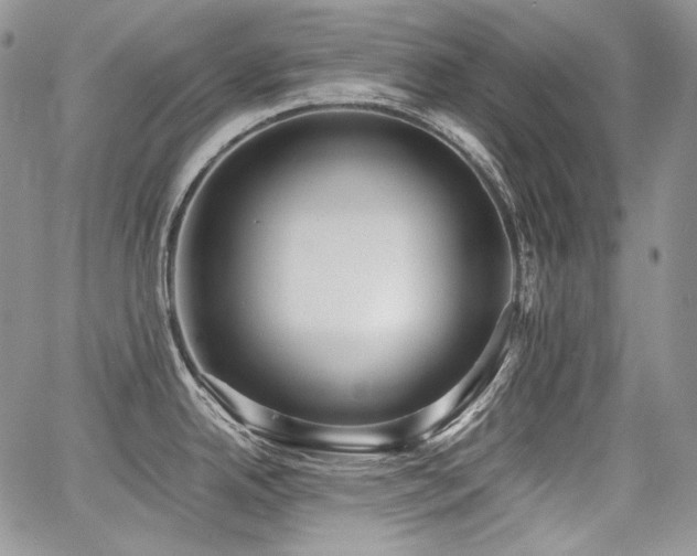 X0000068261342200604211035