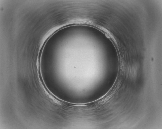 X0000068261343200604211035