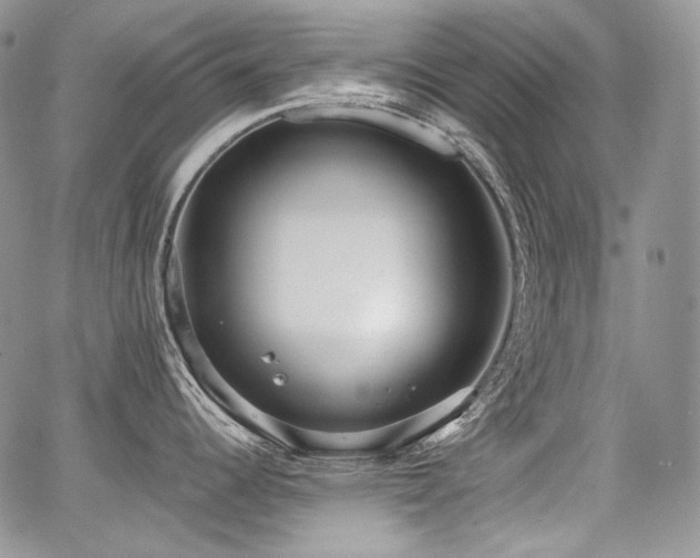 X0000068261344200604211035