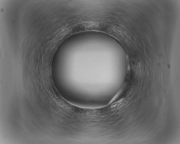 X0000068261345200604211034