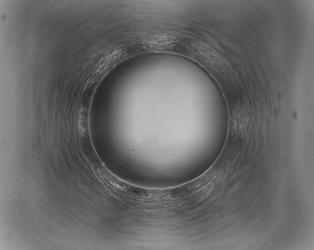 X0000068261346200604211034